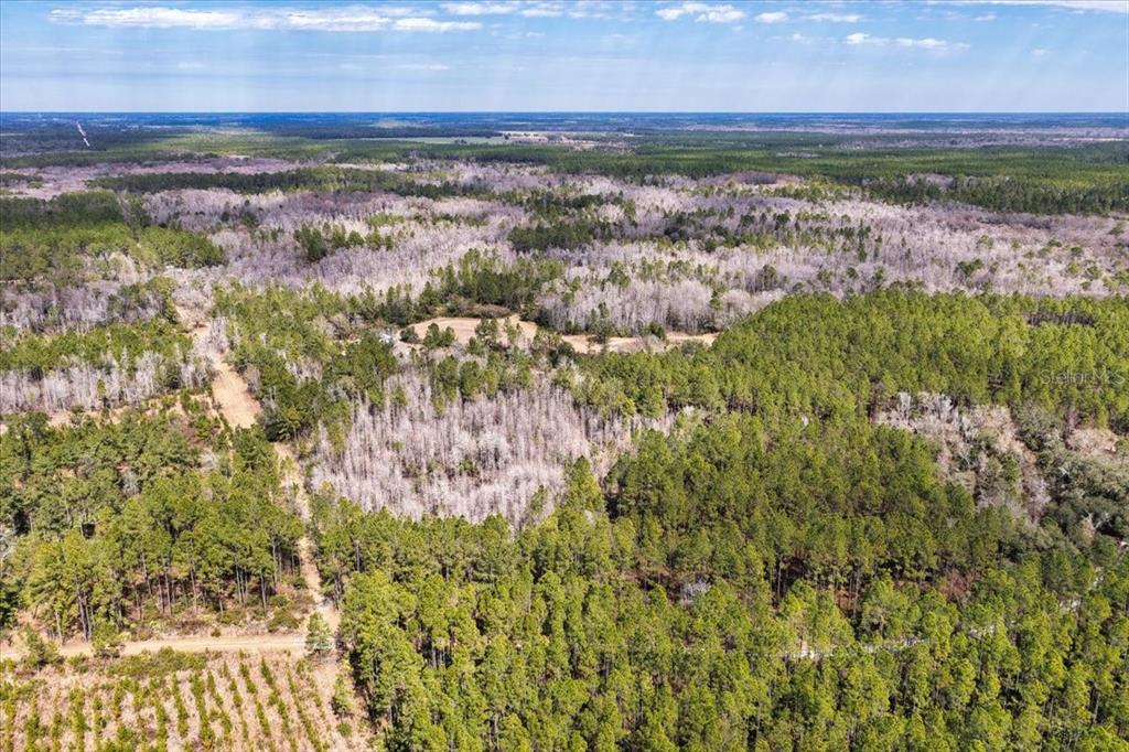 60 Northwest Clyatt Road Chiefland, FL 32626 - Photo 41 of 70