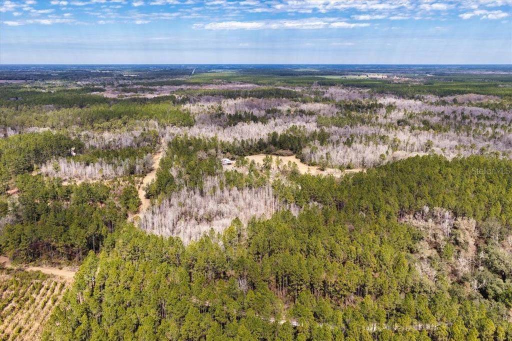 60 Northwest Clyatt Road Chiefland, FL 32626 - Photo 42 of 70