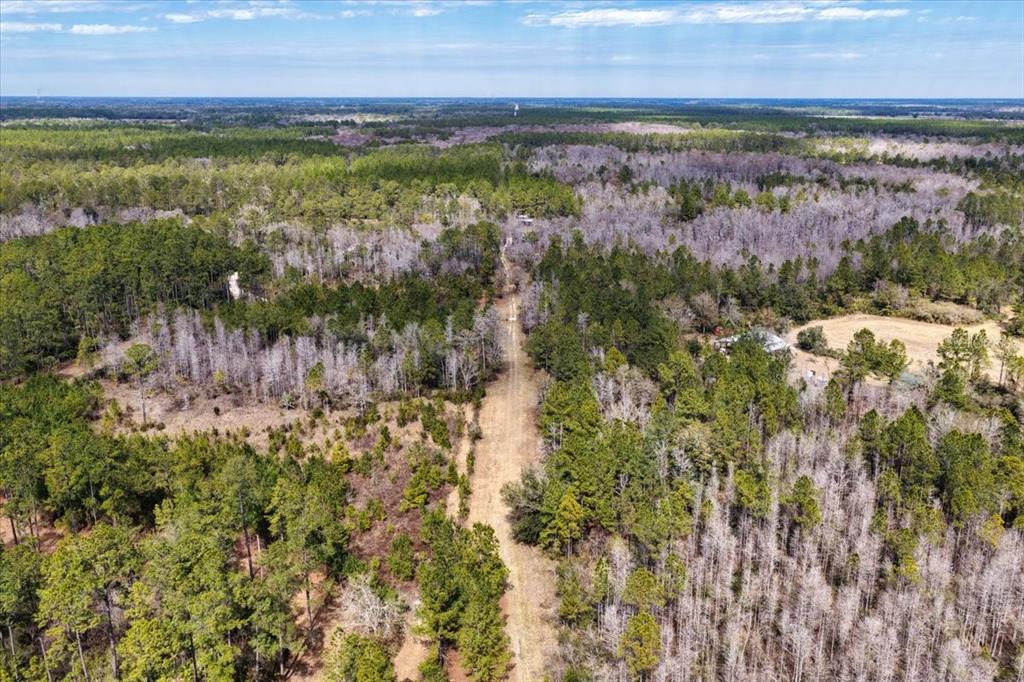 60 Northwest Clyatt Road Chiefland, FL 32626 - Photo 44 of 70