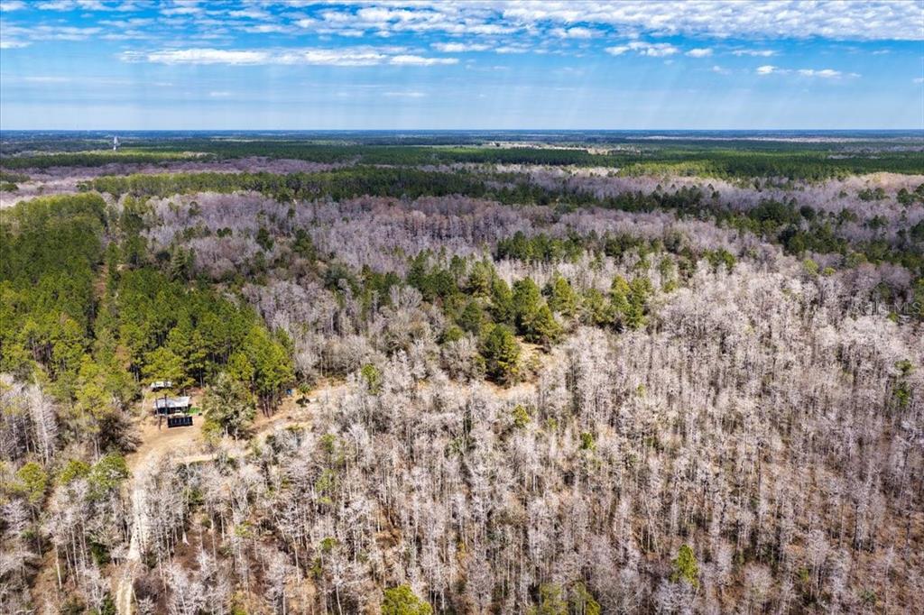 60 Northwest Clyatt Road Chiefland, FL 32626 - Photo 45 of 70