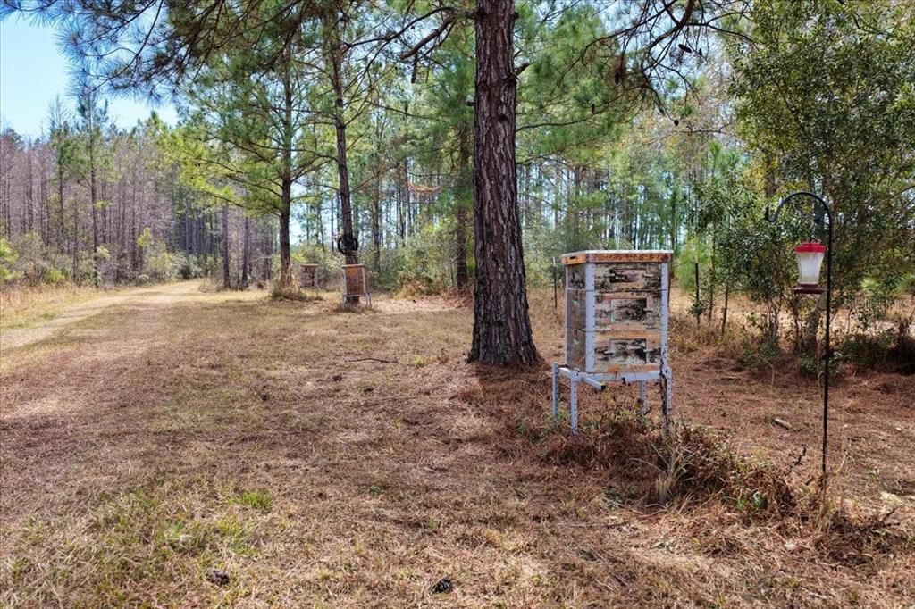 60 Northwest Clyatt Road Chiefland, FL 32626 - Photo 5 of 70