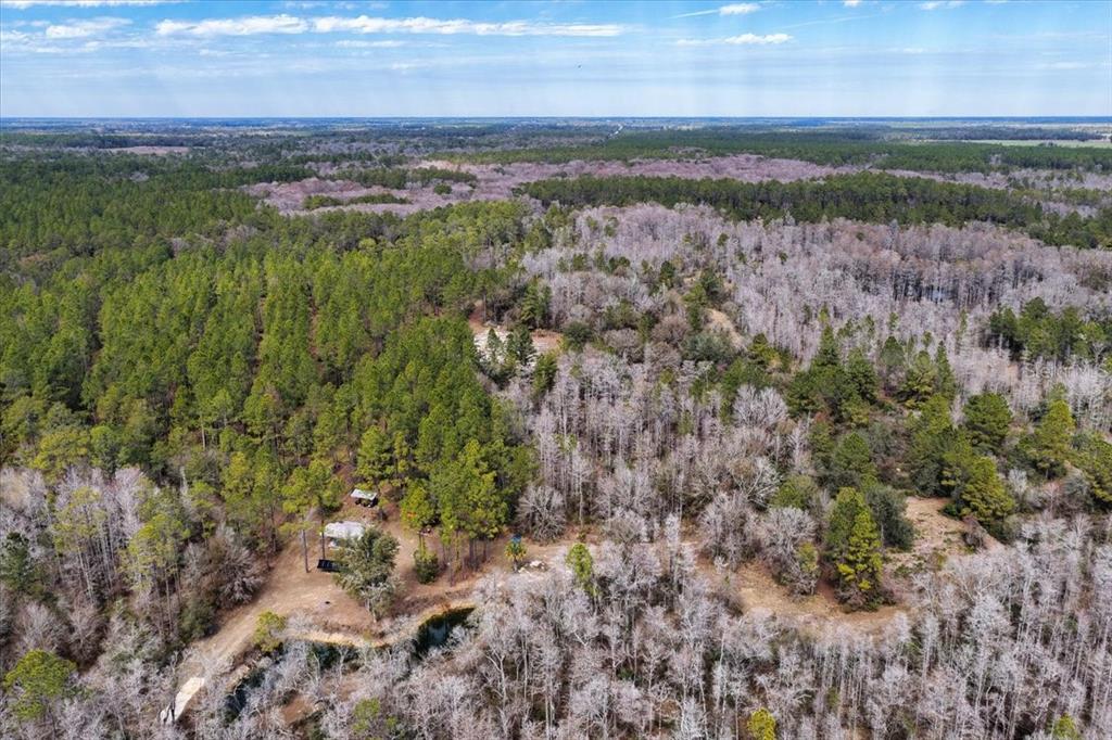 60 Northwest Clyatt Road Chiefland, FL 32626 - Photo 57 of 70