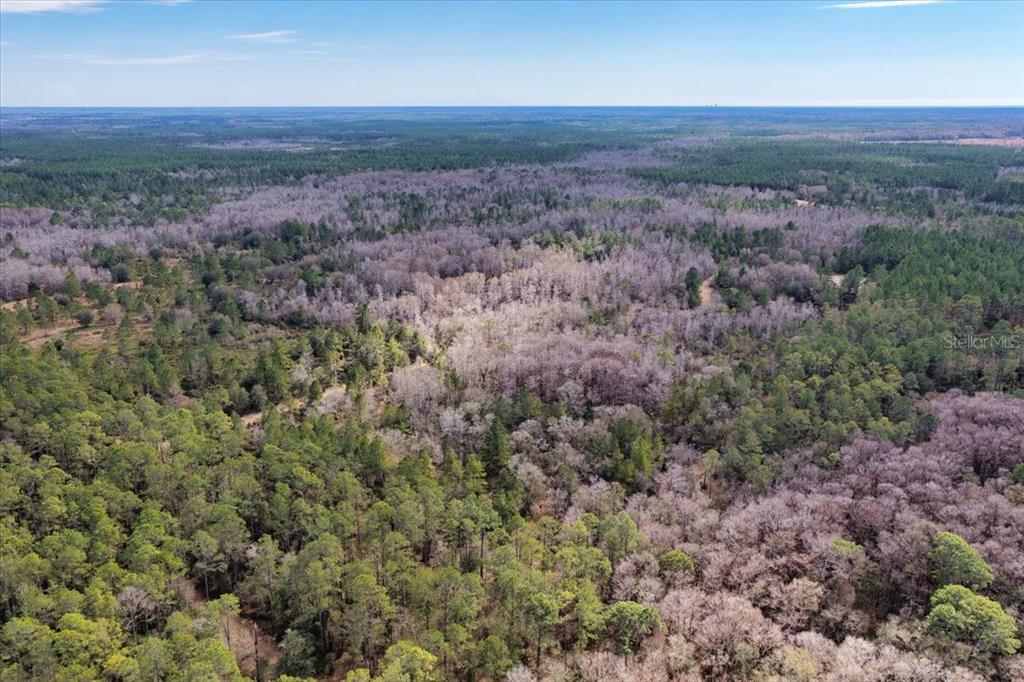 60 Northwest Clyatt Road Chiefland, FL 32626 - Photo 58 of 70