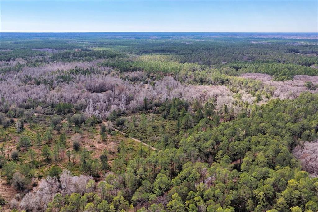 60 Northwest Clyatt Road Chiefland, FL 32626 - Photo 61 of 70