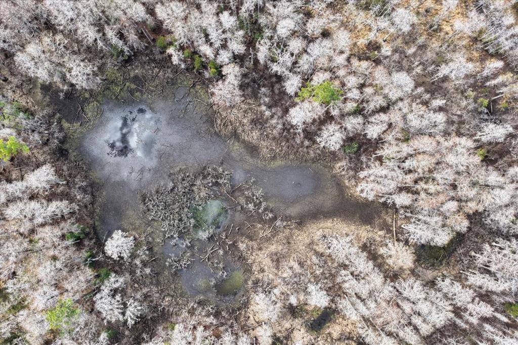 60 Northwest Clyatt Road Chiefland, FL 32626 - Photo 63 of 70