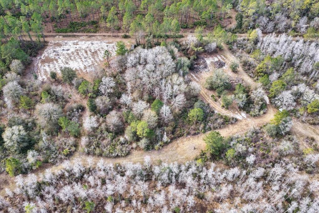 60 Northwest Clyatt Road Chiefland, FL 32626 - Photo 64 of 70