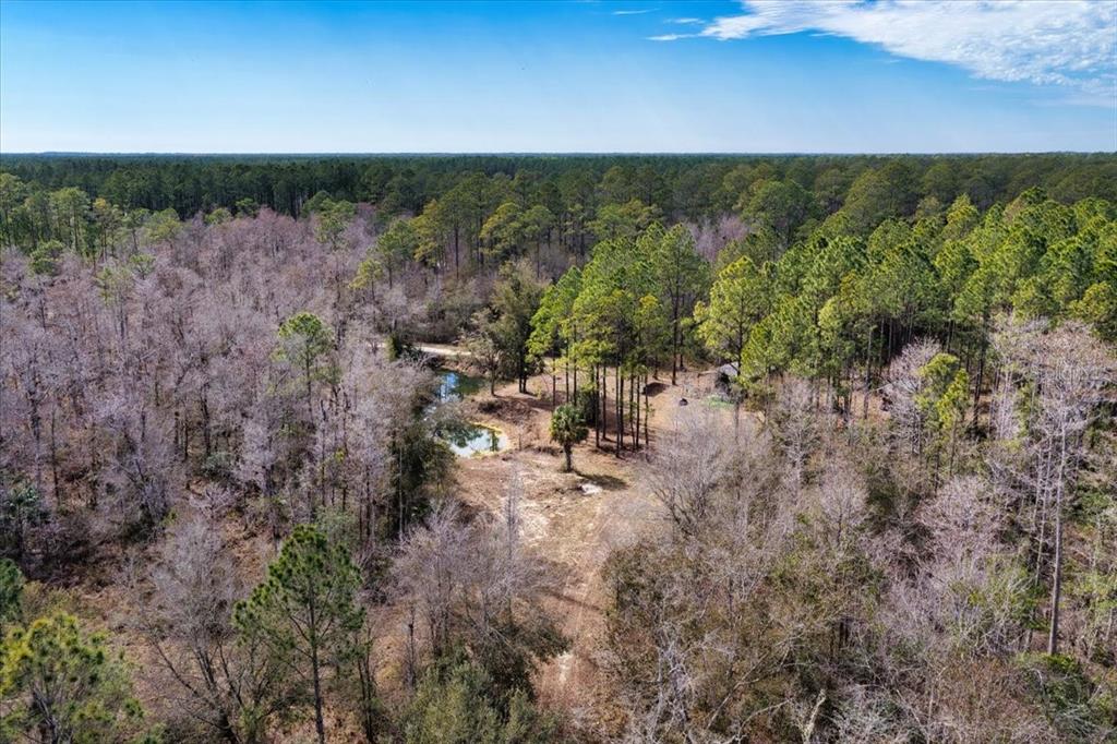 60 Northwest Clyatt Road Chiefland, FL 32626 - Photo 65 of 70