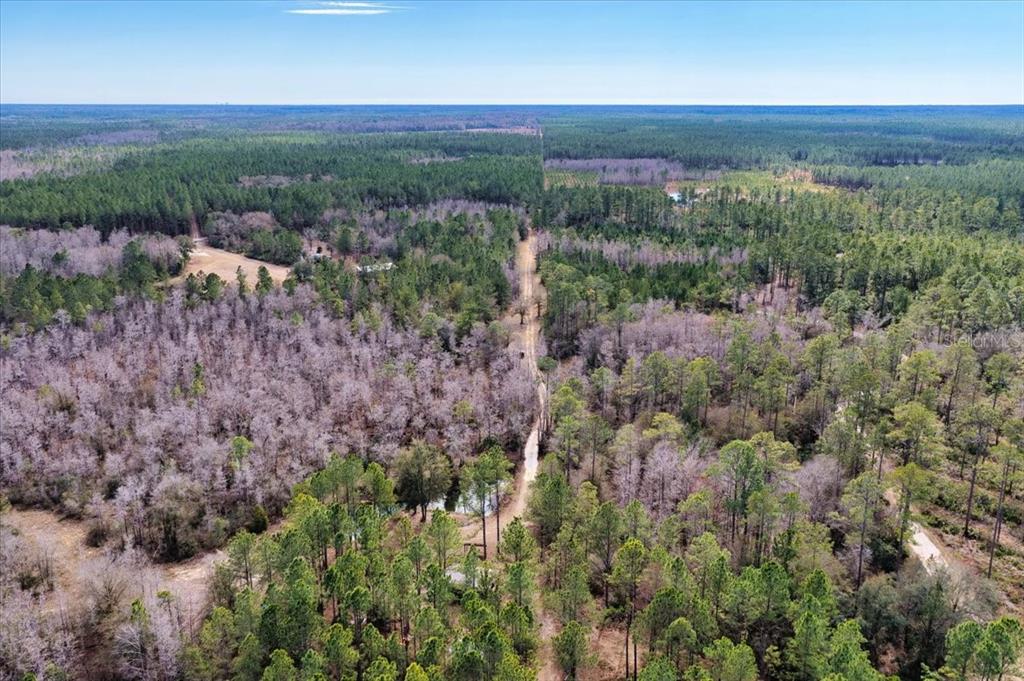 60 Northwest Clyatt Road Chiefland, FL 32626 - Photo 67 of 70