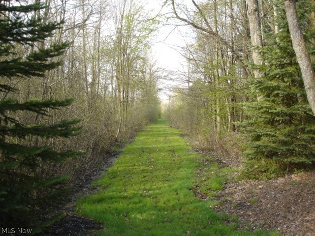 19 River Road Chardon, OH 44024 - Photo 11 of 18