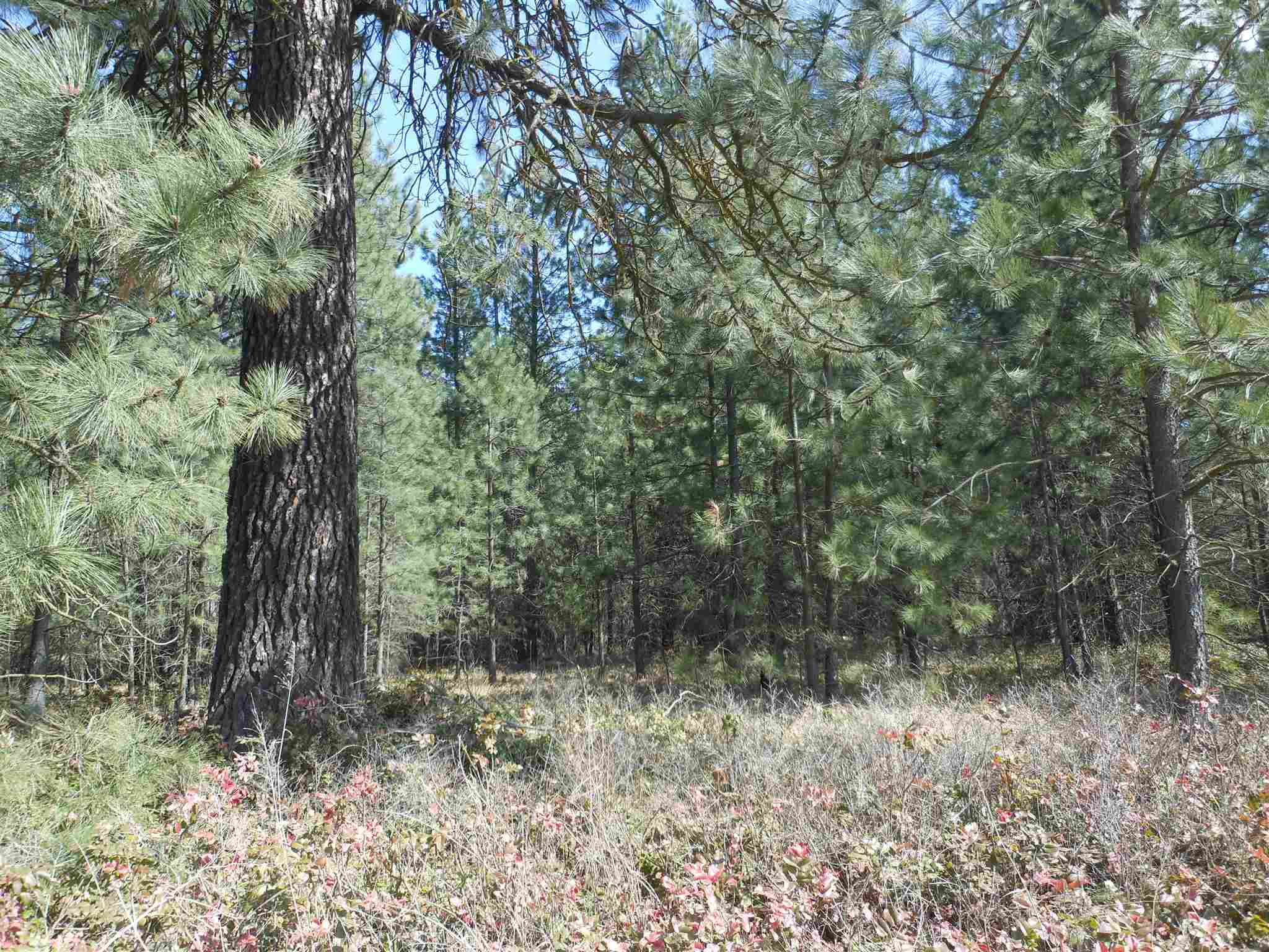 Tbd South Wallbridge Road Deer Park, WA 99006 - Photo 1 of 2 Gallery Image 1