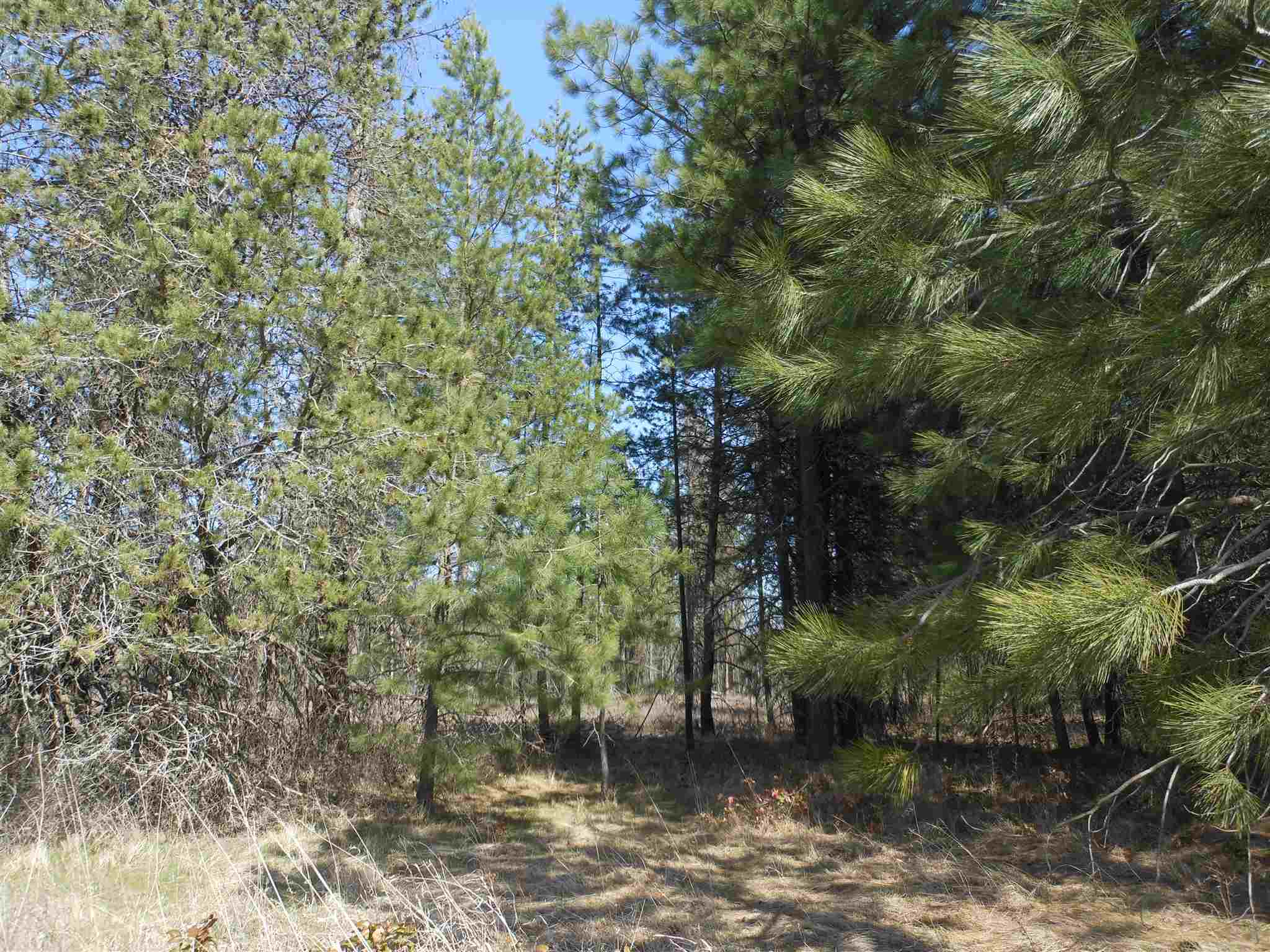 Tbd South Wallbridge Road Deer Park, WA 99006 - Photo 2 of 2 Gallery Image 2