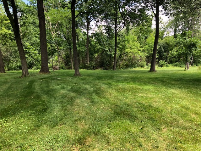34W101 Army Trail Road Wayne, IL 60184 - Photo 20 of 20 a view of a grassy field with trees in the background
