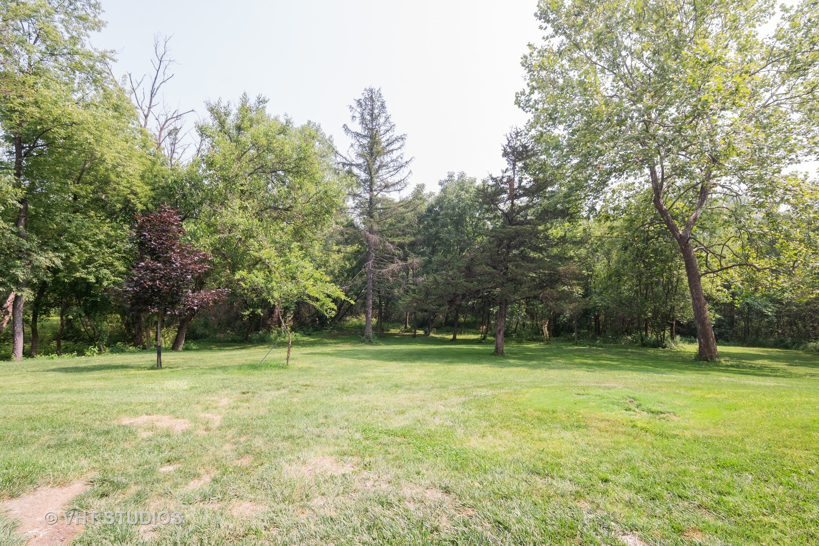 34W101 Army Trail Road Wayne, IL 60184 - Photo 10 of 20 a view of a tree in a yard