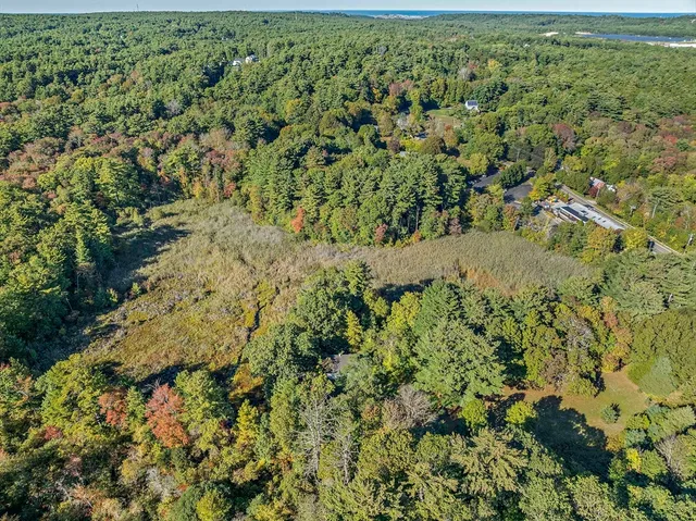 a view of a green field with lots of bushes