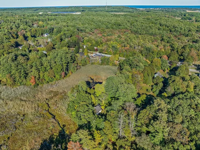 a view of a lake with a garden