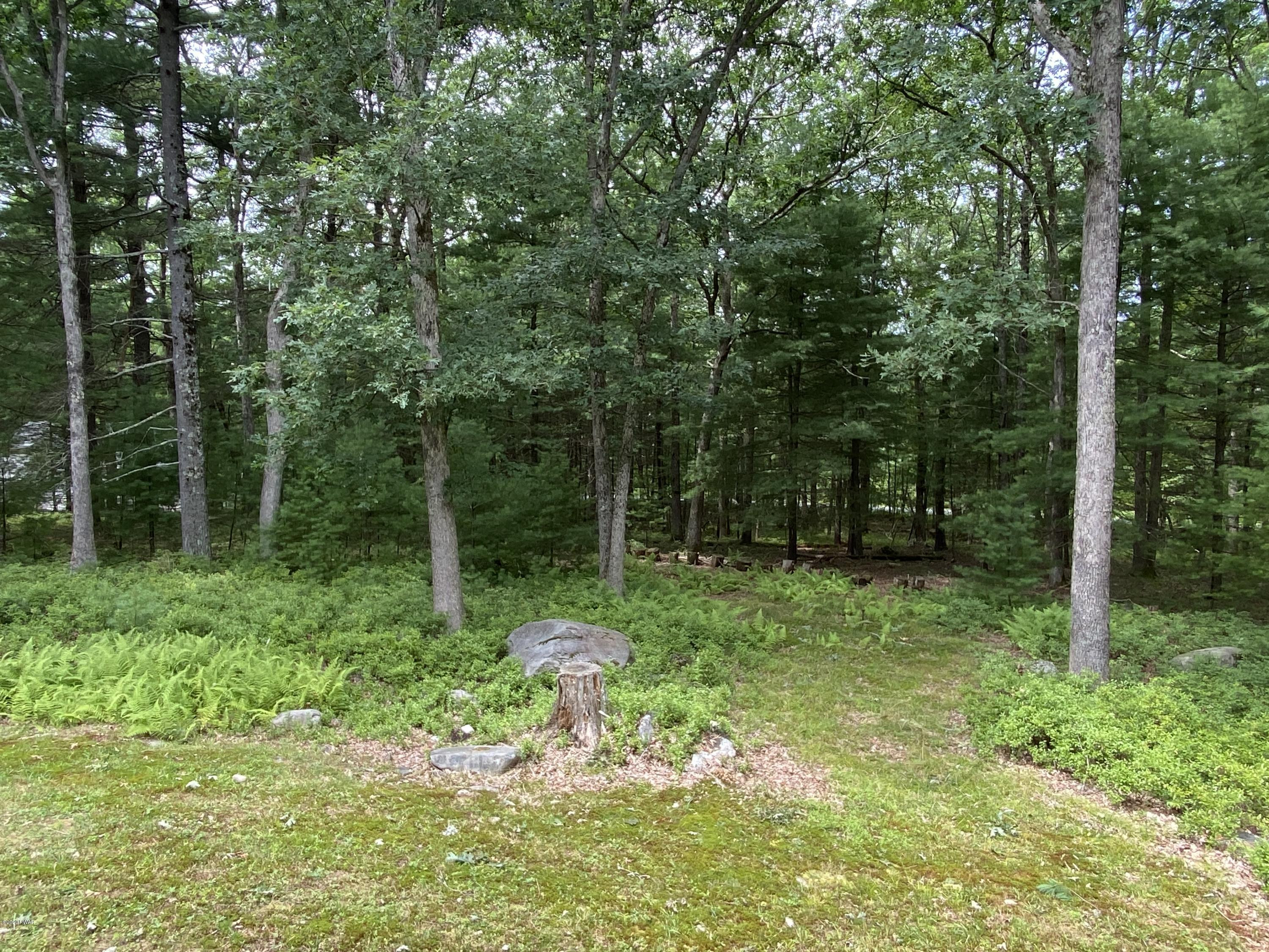 111 Beecher Road Dingmans Ferry, PA 18328 - Photo 20 of 25 a backyard of a house with lots of green space and fountain