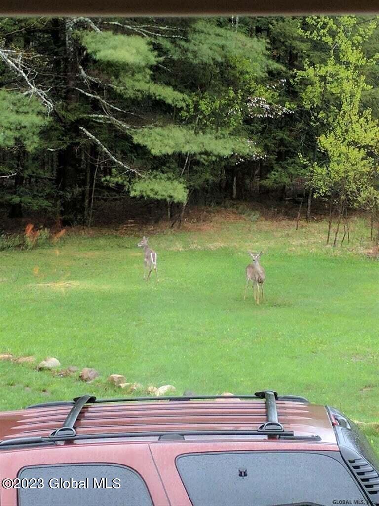 279 Snow Road Hadley, NY 12835 - Photo 18 of 24 s7