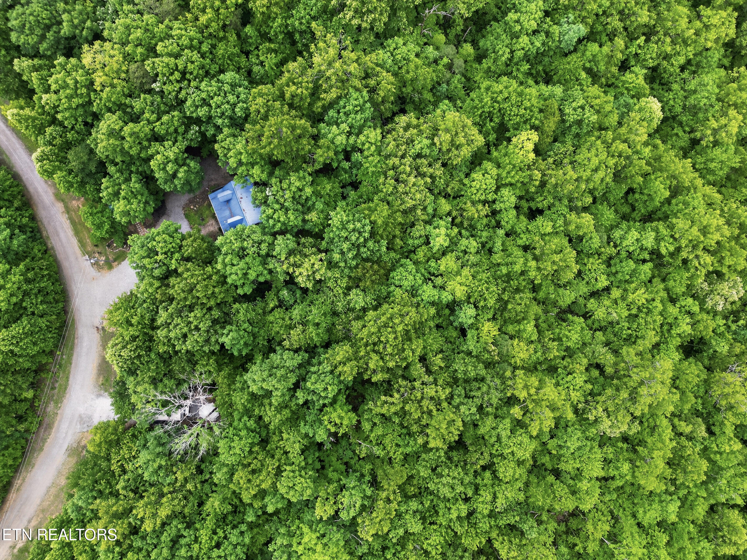 55214 Maynard Ridge Crawford, TN 38554 - Photo 27 of 30 27-DJI_0103