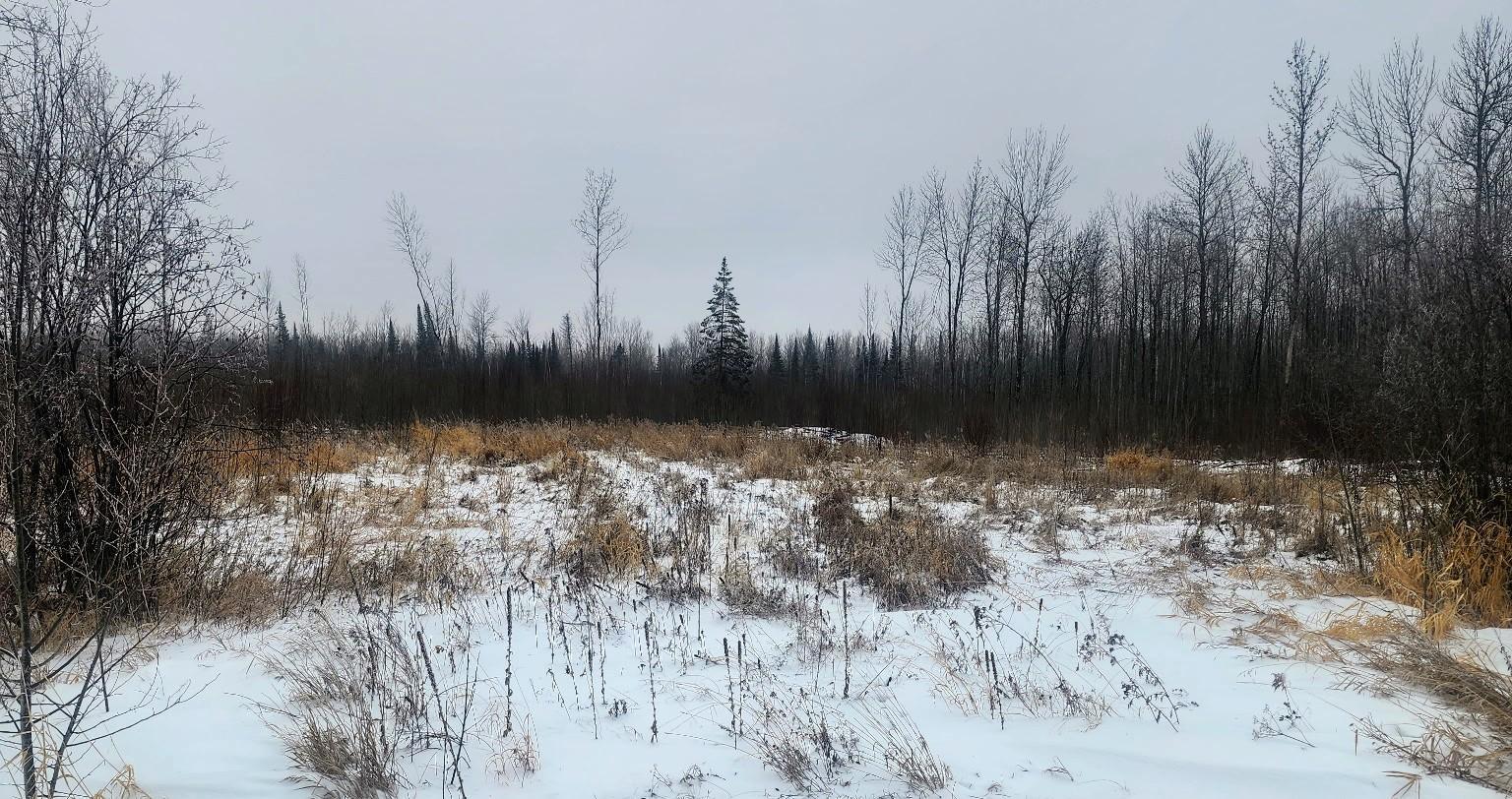 17 East County Road Mizpah, MN 56660 - Photo 11 of 17
