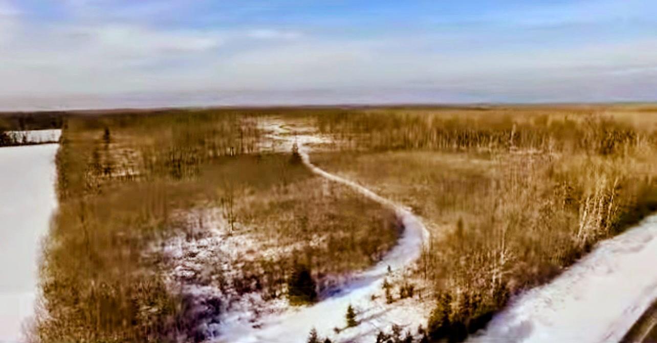 17 East County Road Mizpah, MN 56660 - Photo 14 of 17