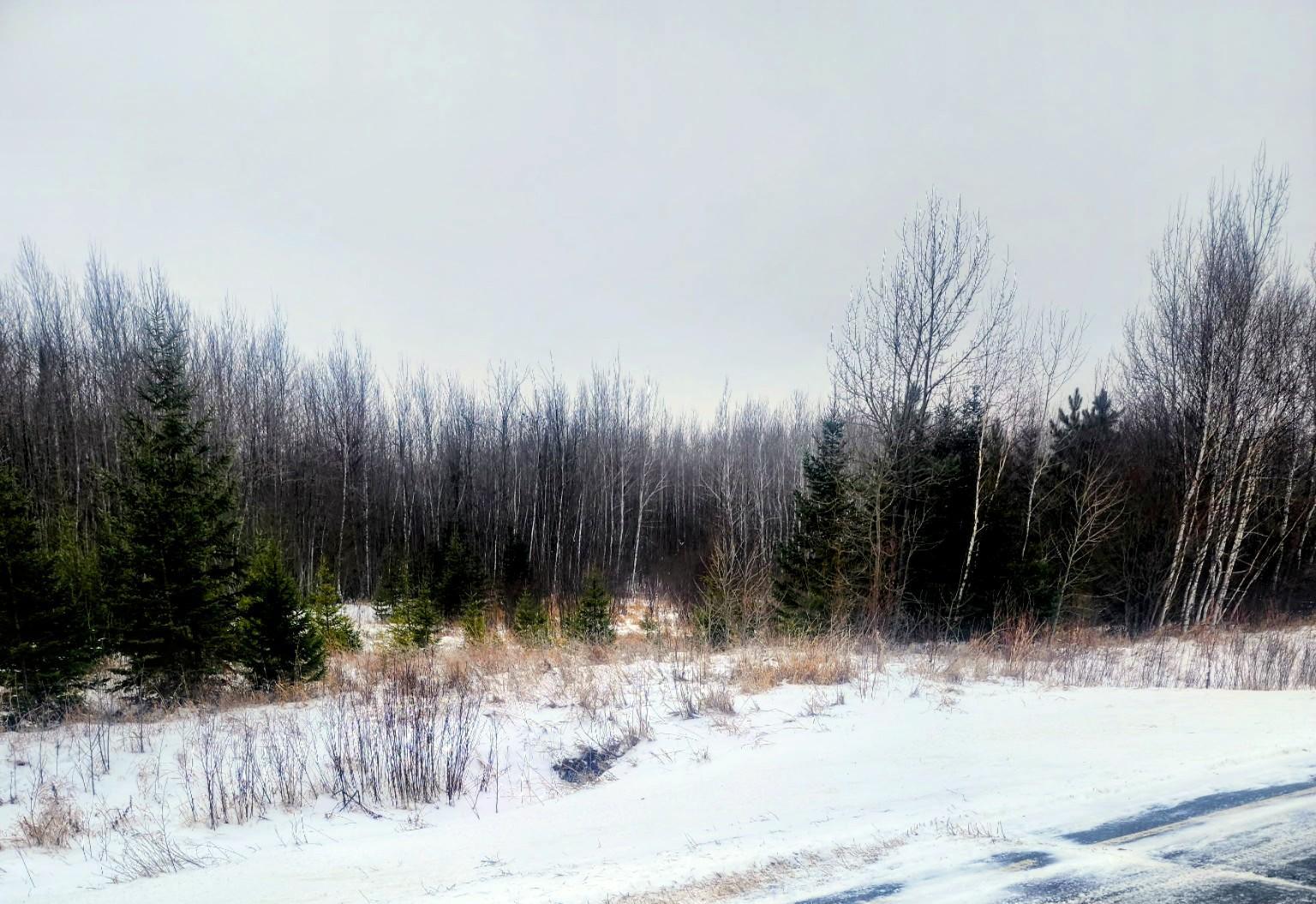 17 East County Road Mizpah, MN 56660 - Photo 10 of 17