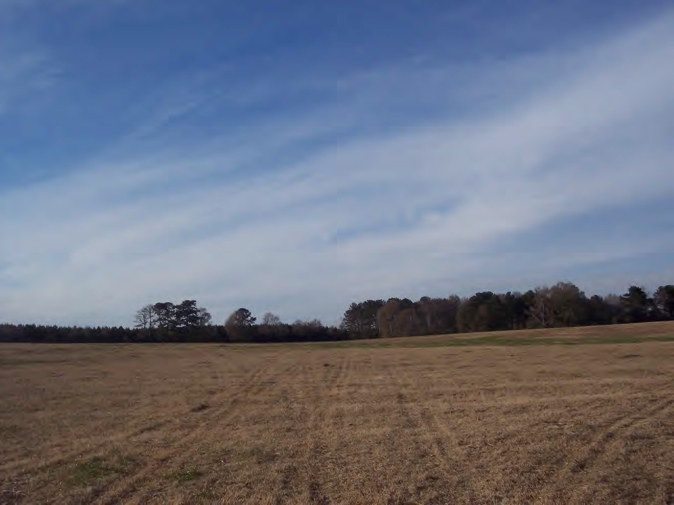 Brown Road Smithdale, MS 39664 - Photo 1 of 1 Main View