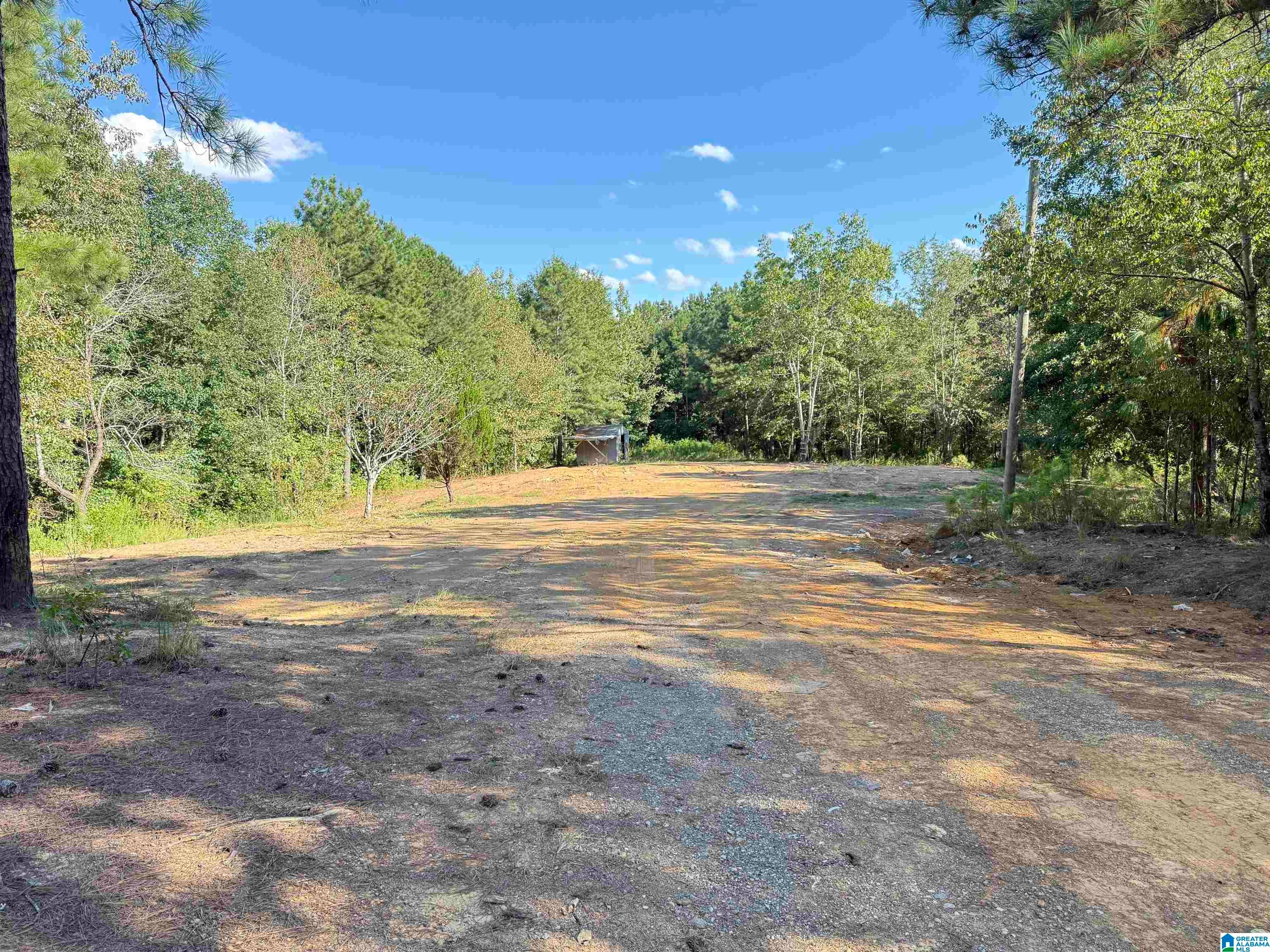 896 Rocky Rdg Road, Unit TRACT 23 Odenville, AL 35120 - Photo 1 of 11 Gallery Image 1