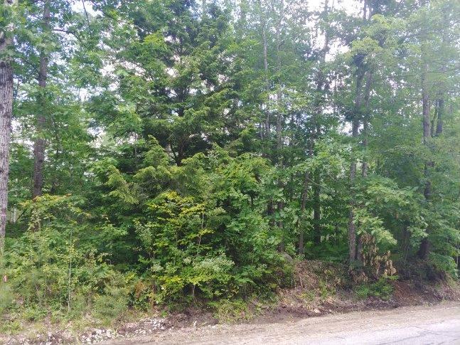 Lot 2 Calderwood Road Washington, ME 04574 - Photo 5 of 10 IMG_0745