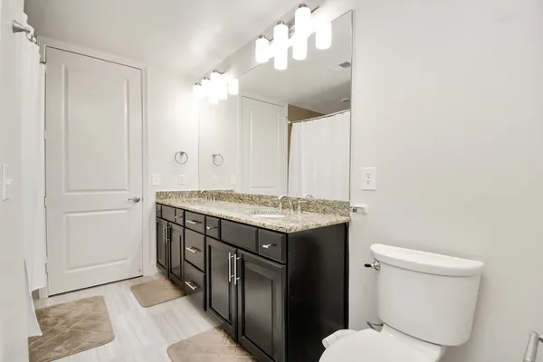 a bathroom with a sink a toilet and a mirror