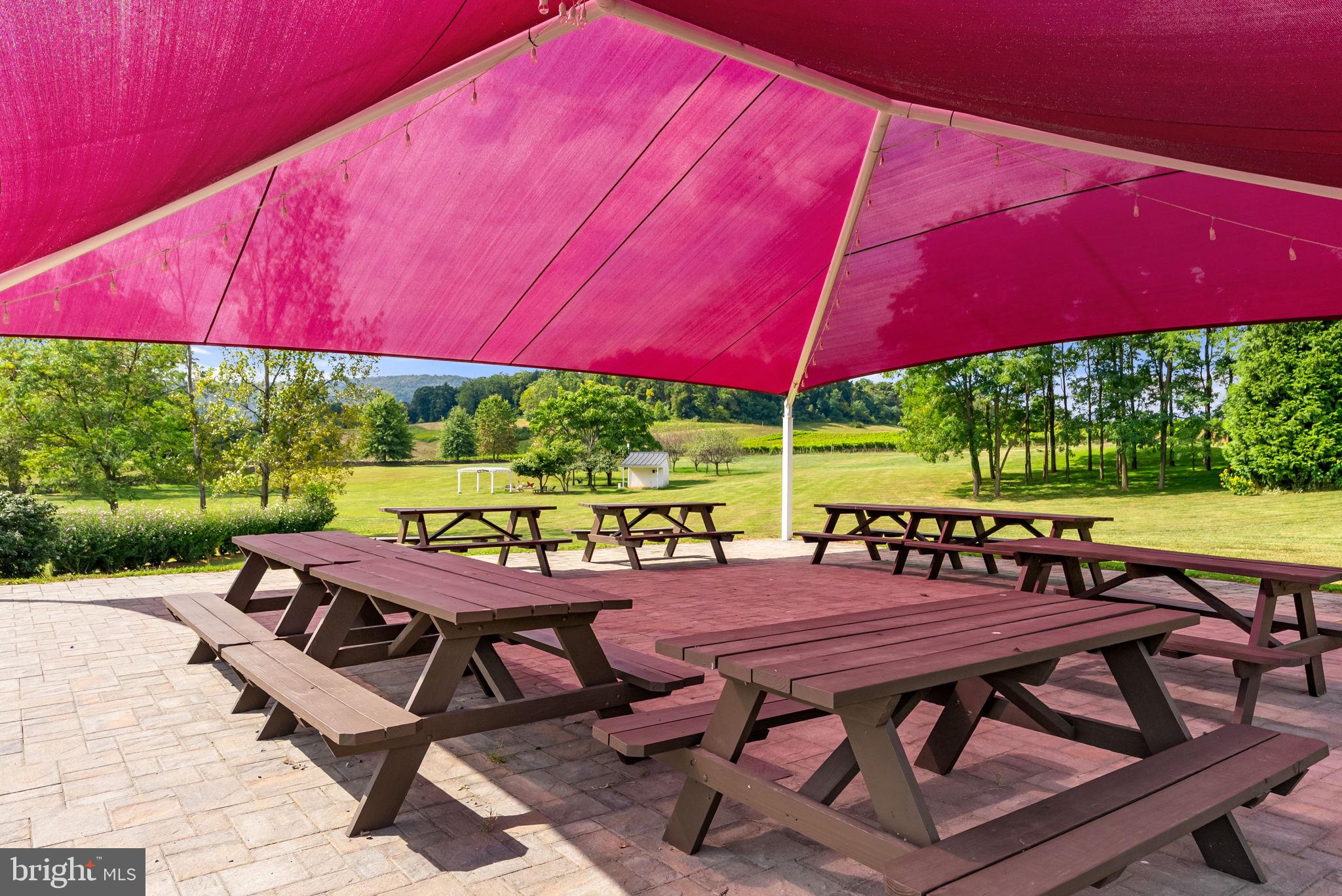 14001 Harpers Ferry Road Purcellville, VA 20132 - Photo 30 of 70 The canopy, perfect for events or sipping wine