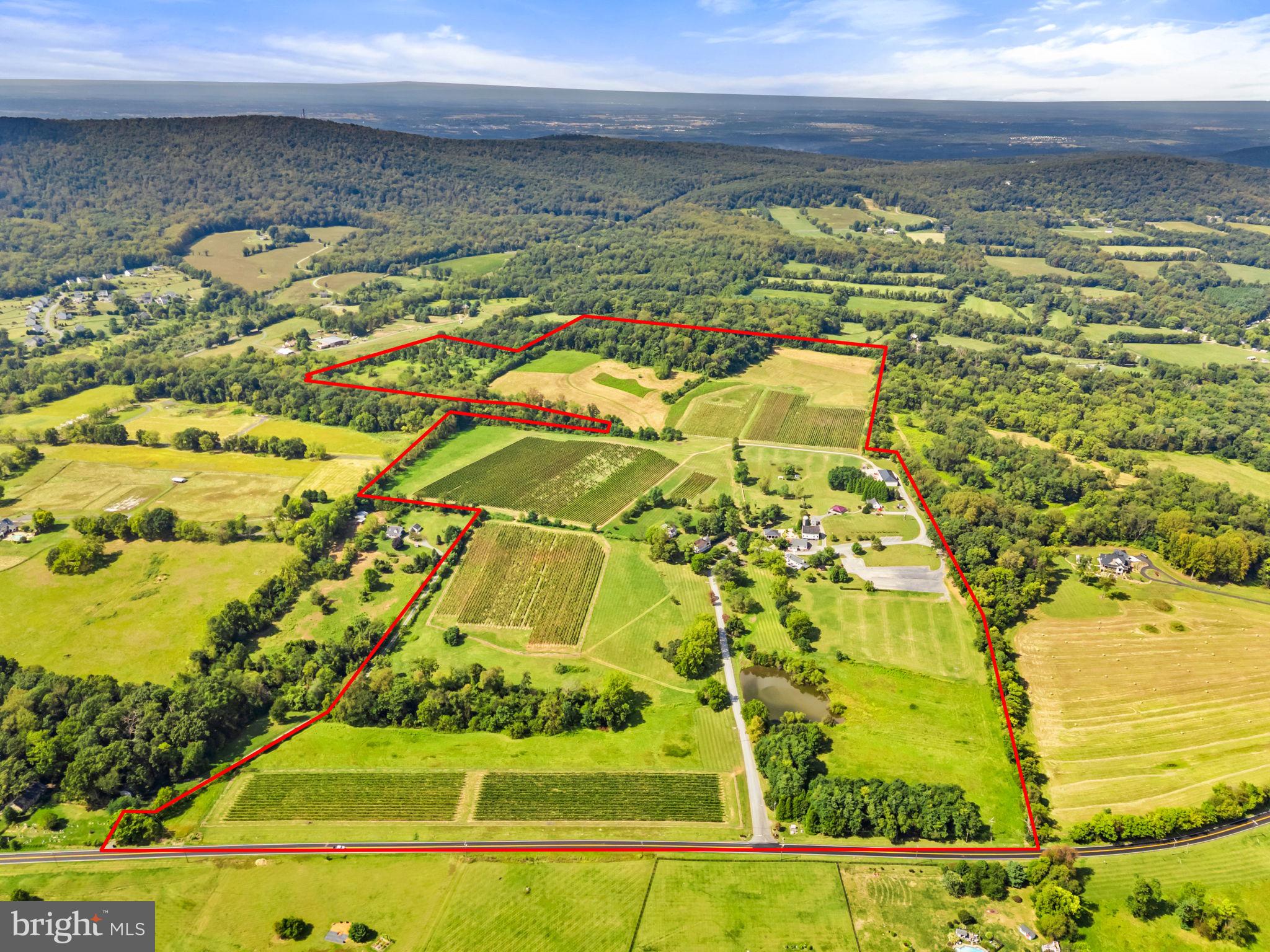 14001 Harpers Ferry Road Purcellville, VA 20132 - Photo 3 of 70 Stunning 868 Estate Vineyards on 120 acres