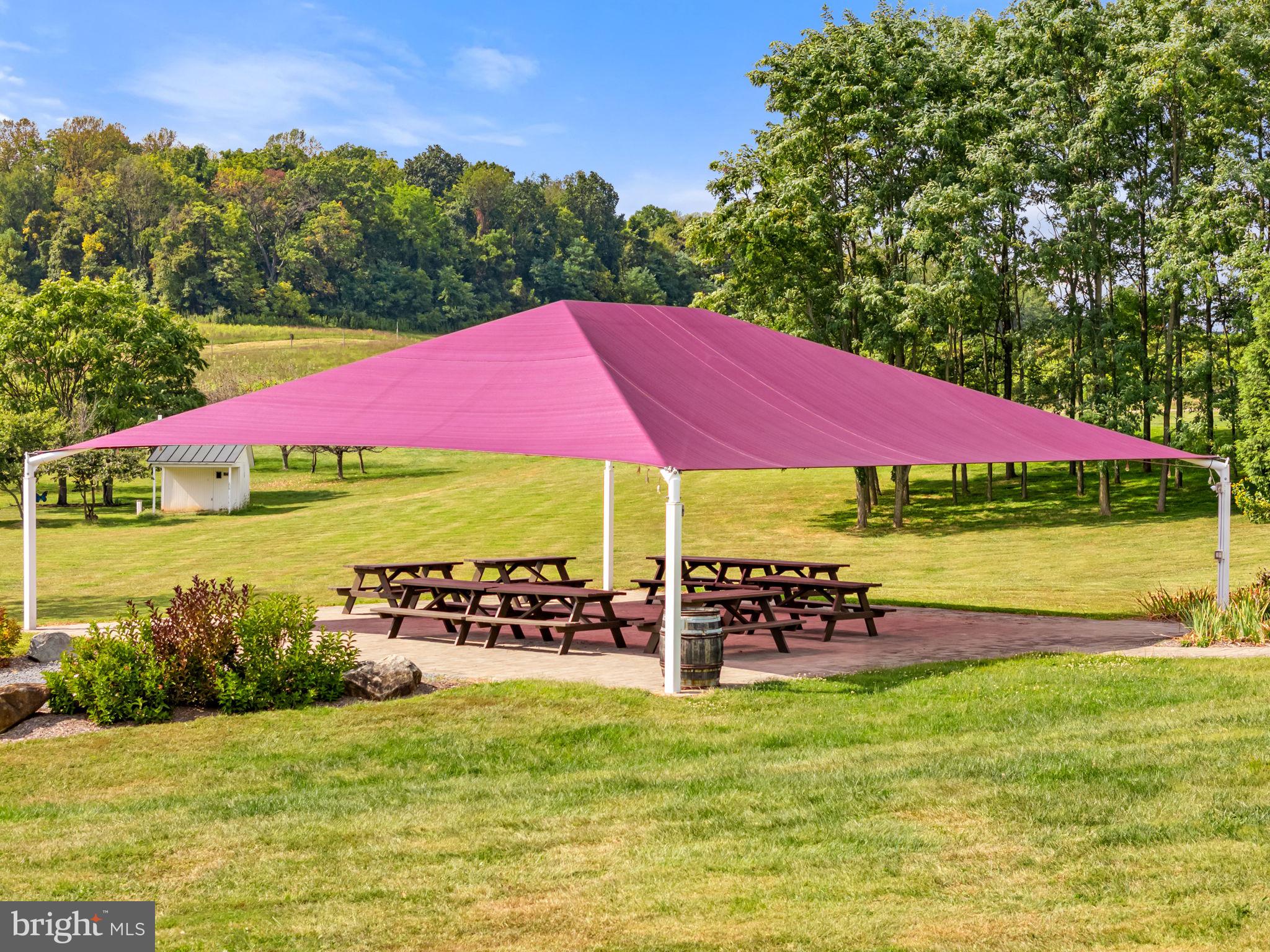 14001 Harpers Ferry Road Purcellville, VA 20132 - Photo 31 of 70 The canopy