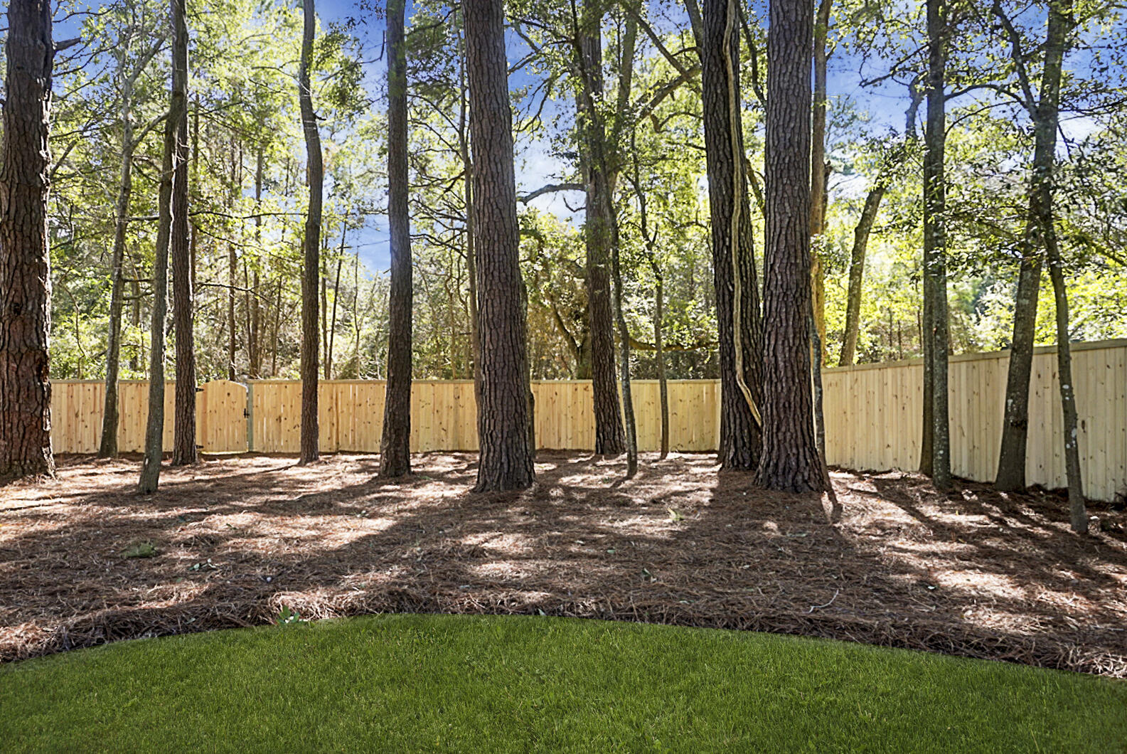 2463 Marina Road Wadmalaw Island, SC 29487 - Photo 34 of 34 DSC03198