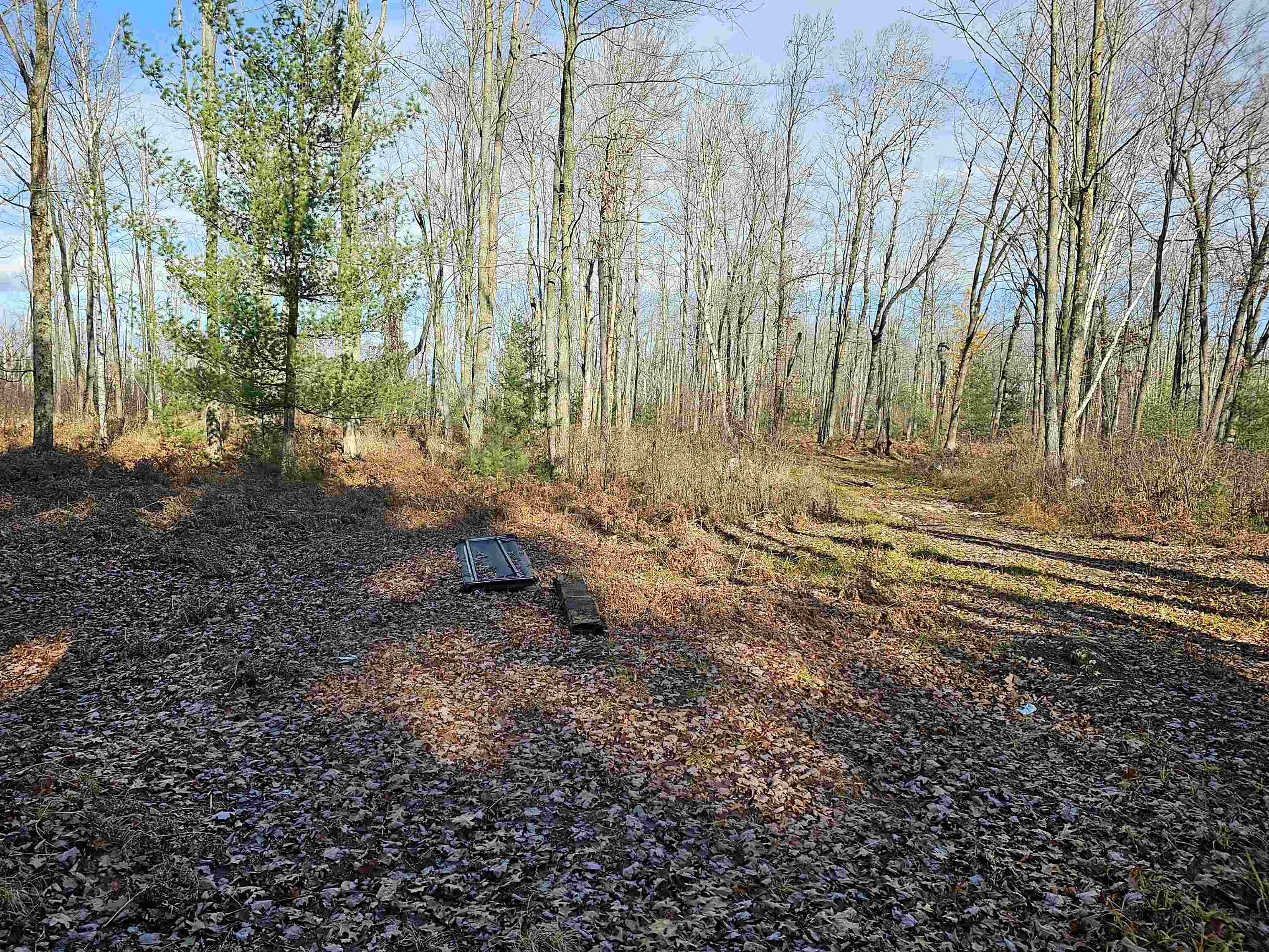 V/l Whittemore Road Turner, MI 48765 - Photo 9 of 16 Gallery Image 9