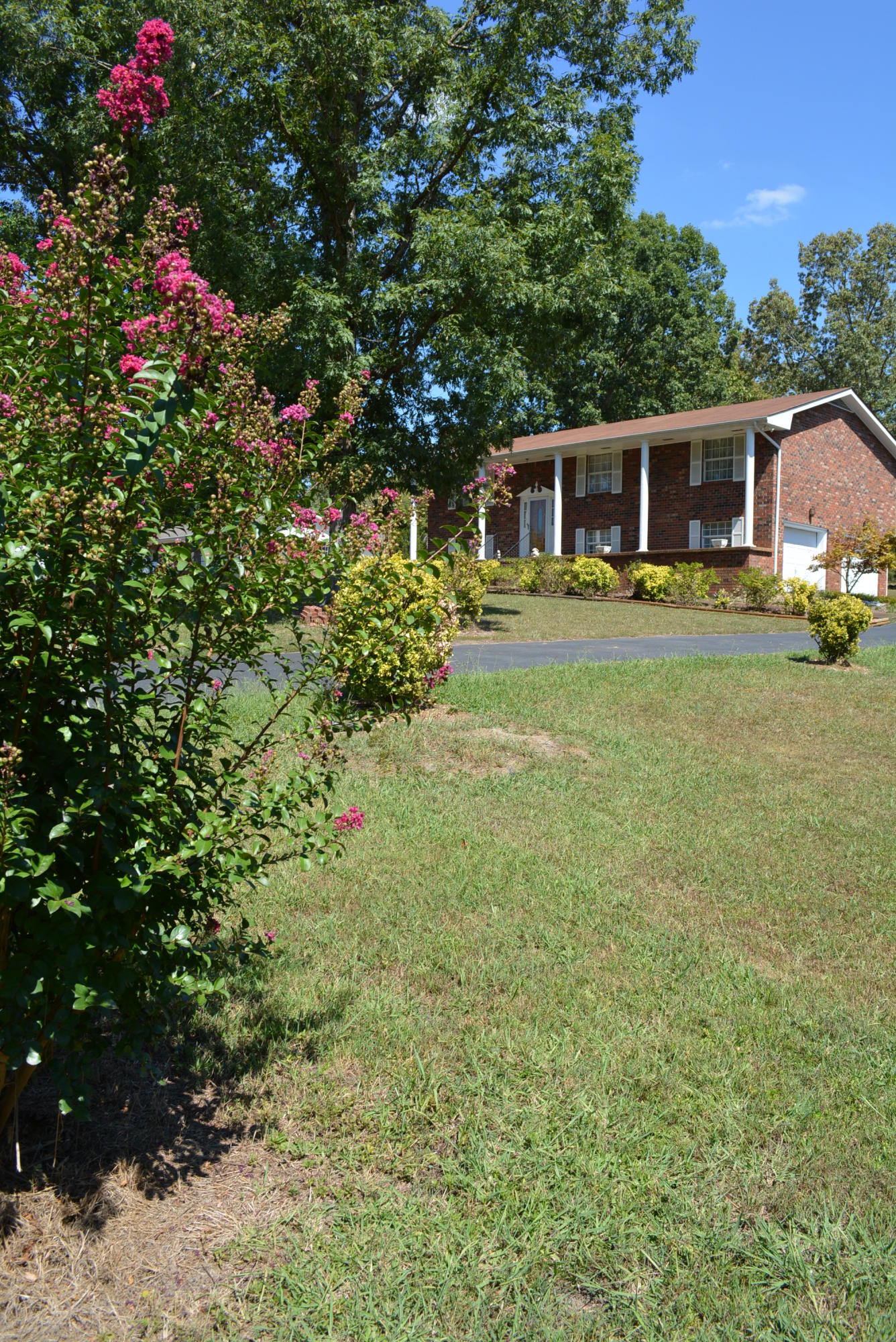 618 Random Terrace Ringgold, GA 30736 - Photo 34 of 79 618 Random Terrace 007