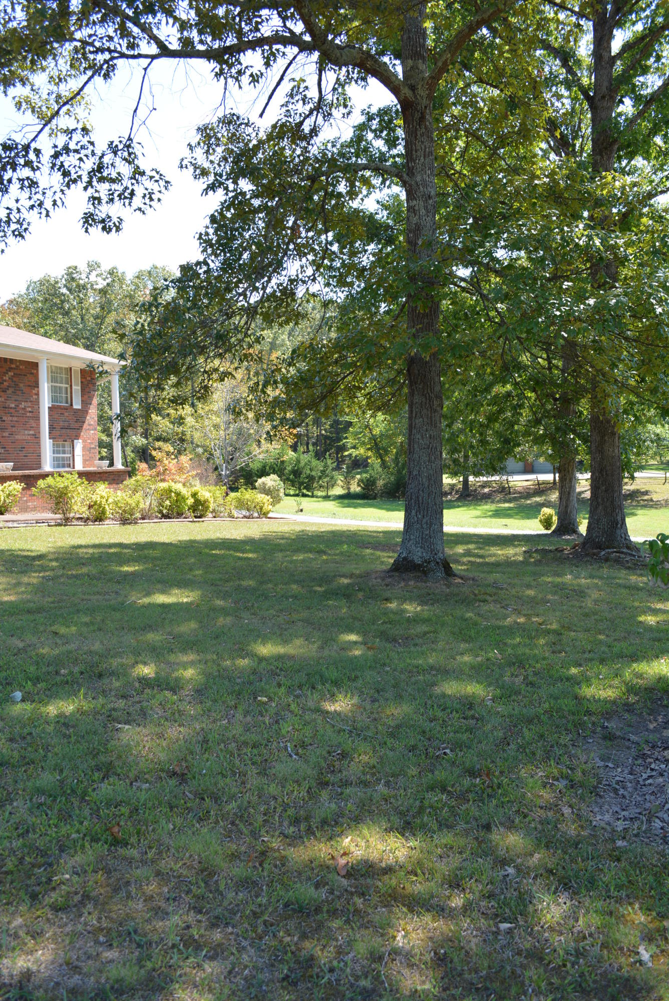 618 Random Terrace Ringgold, GA 30736 - Photo 50 of 79 618 Random Terrace 023
