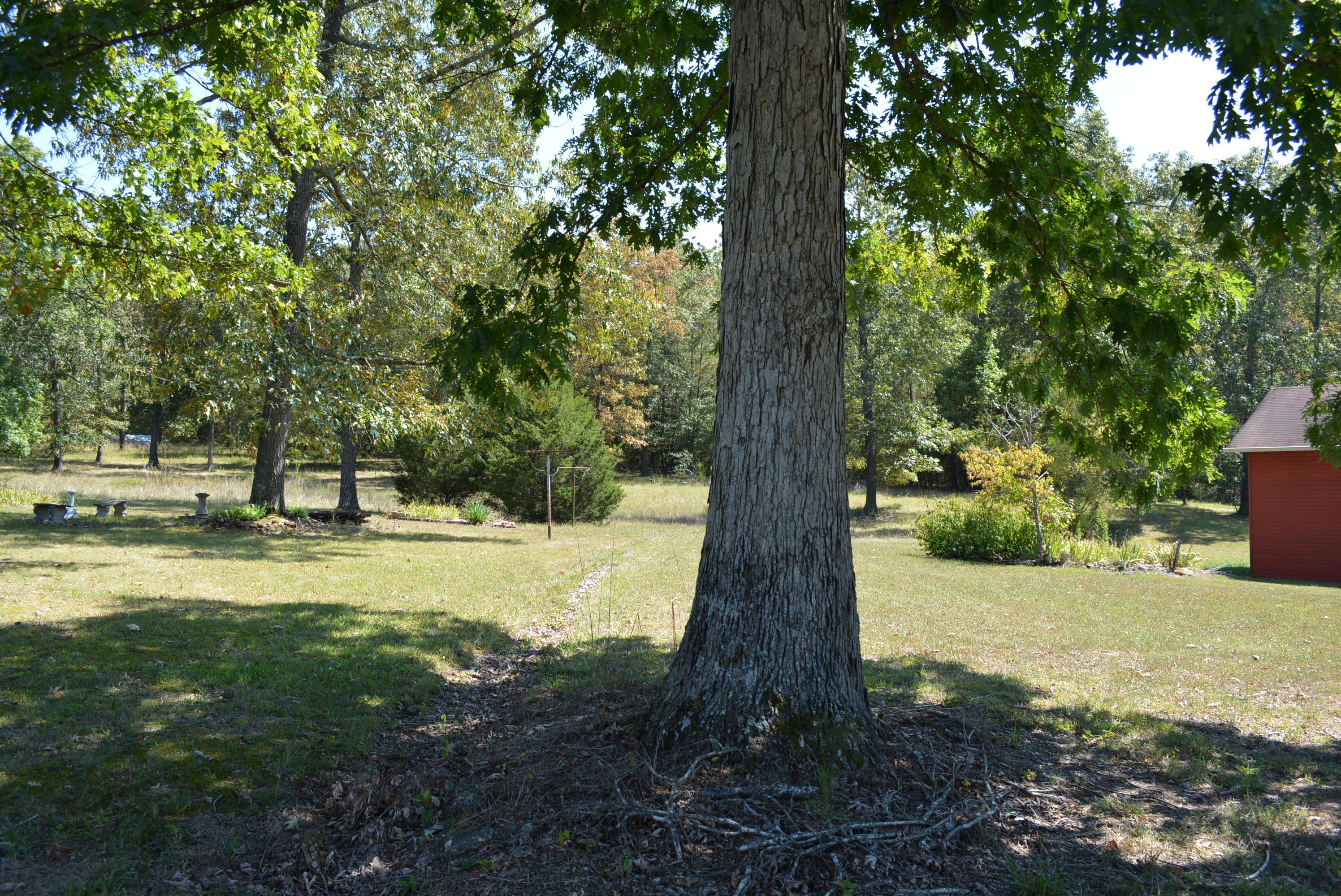 618 Random Terrace Ringgold, GA 30736 - Photo 56 of 79 618 Random Terrace 032