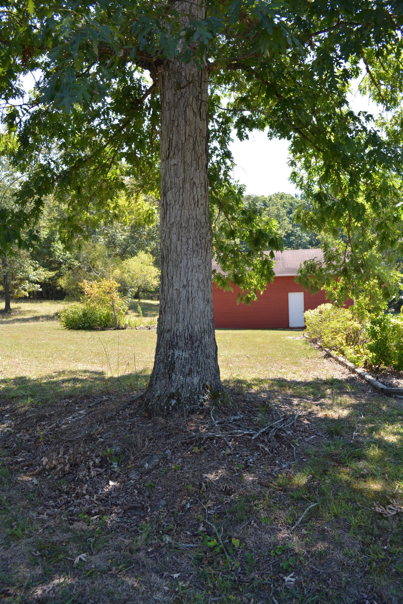 618 Random Terrace Ringgold, GA 30736 - Photo 68 of 79 618 Random Terrace 036