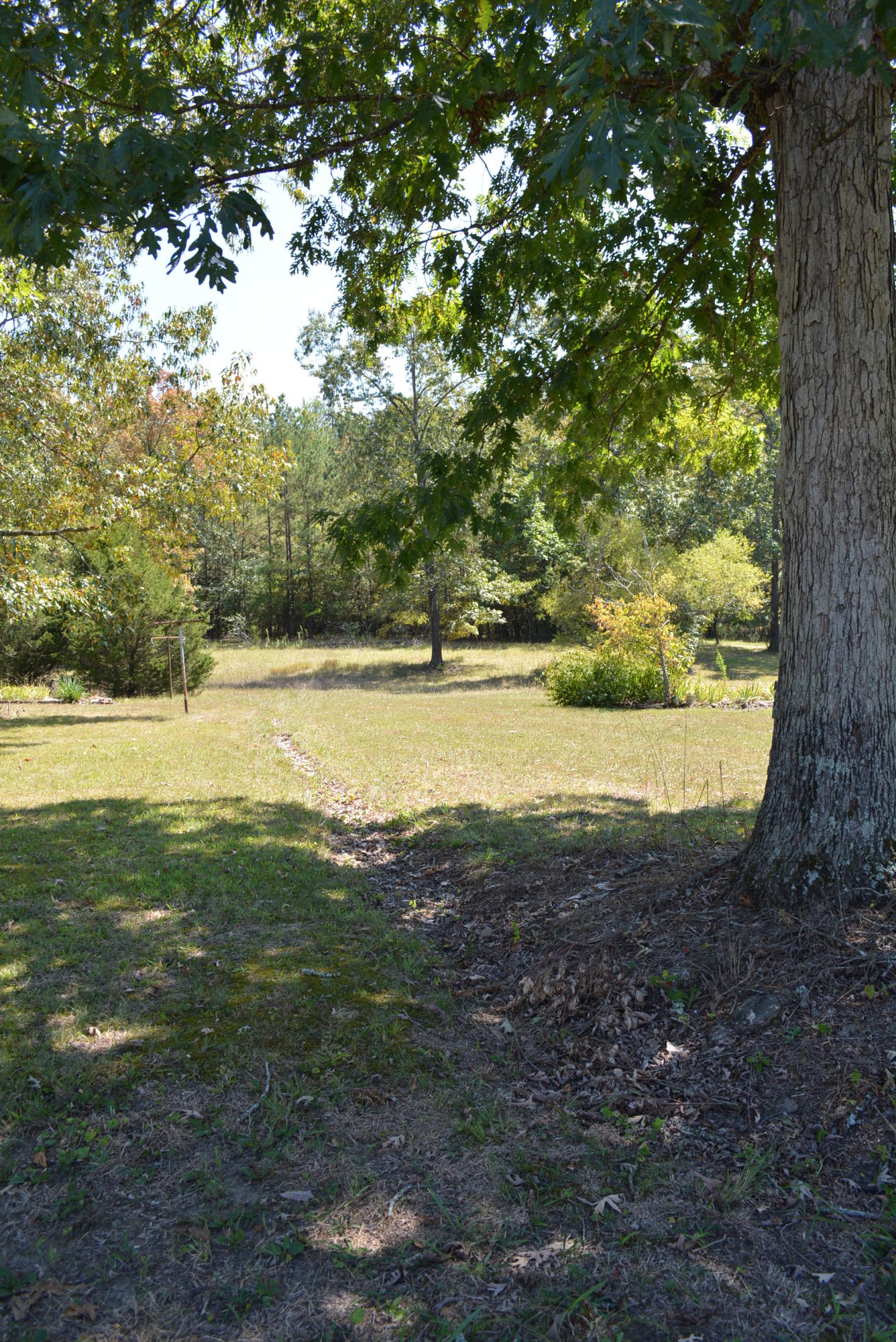 618 Random Terrace Ringgold, GA 30736 - Photo 69 of 79 618 Random Terrace 035