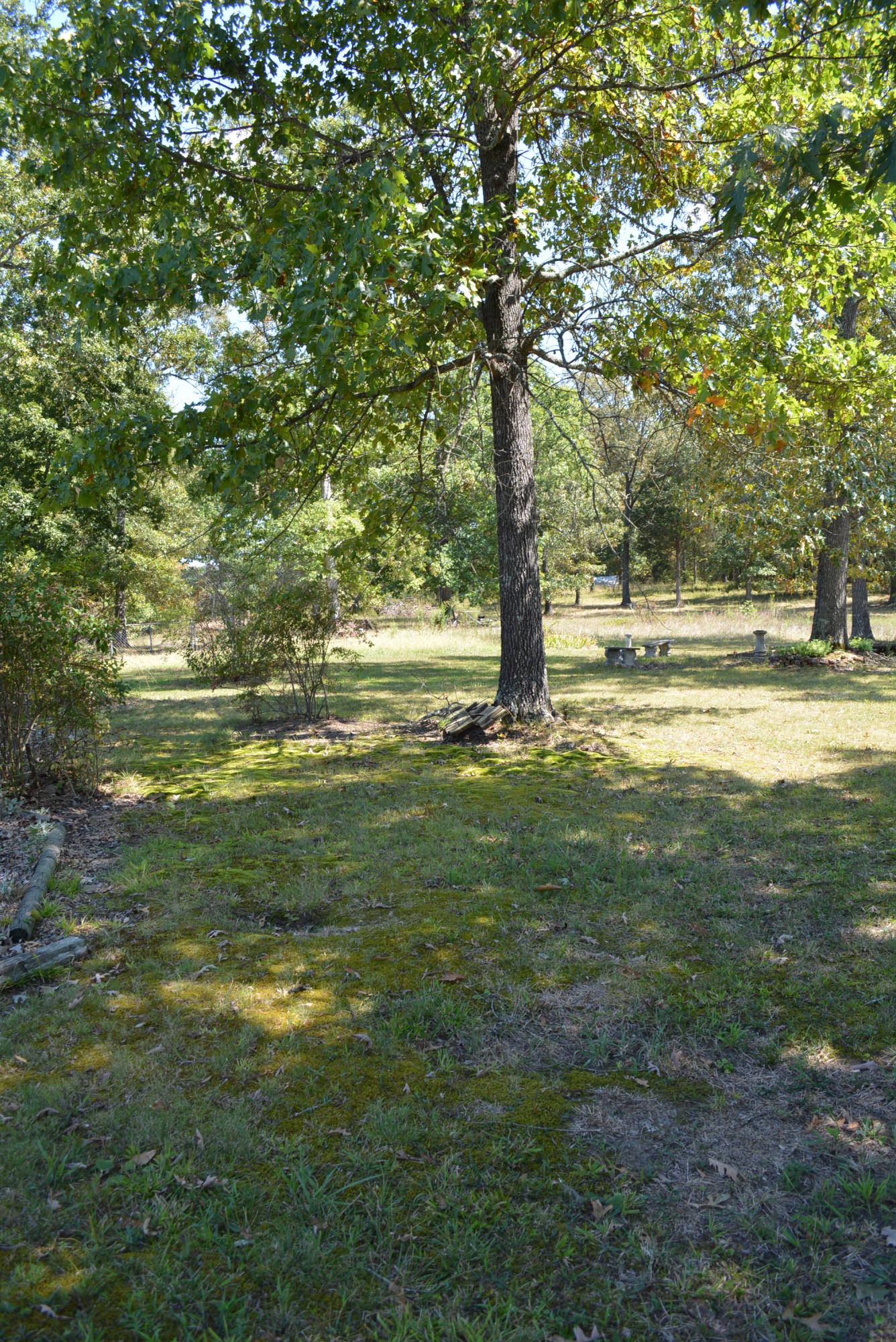 618 Random Terrace Ringgold, GA 30736 - Photo 78 of 79 618 Random Terrace 033