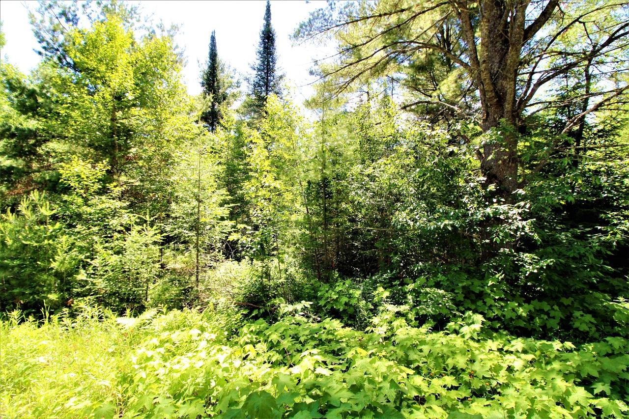 Lot 4 Beaver Lodge Road Mercer, WI 54547 - Photo 3 of 18 Gallery Image 3
