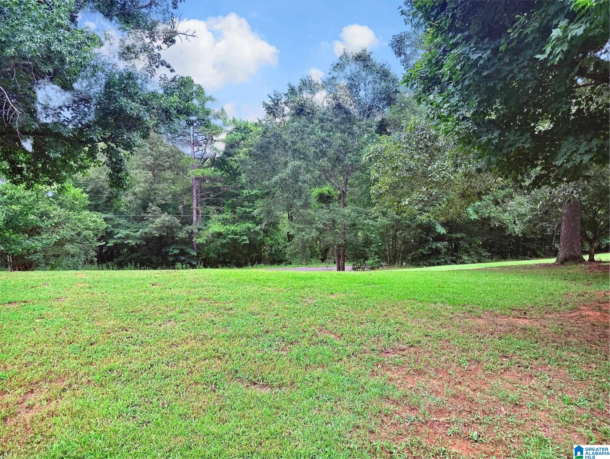 785 Shady Grove Road Piedmont, AL 36272 - Photo 67 of 70