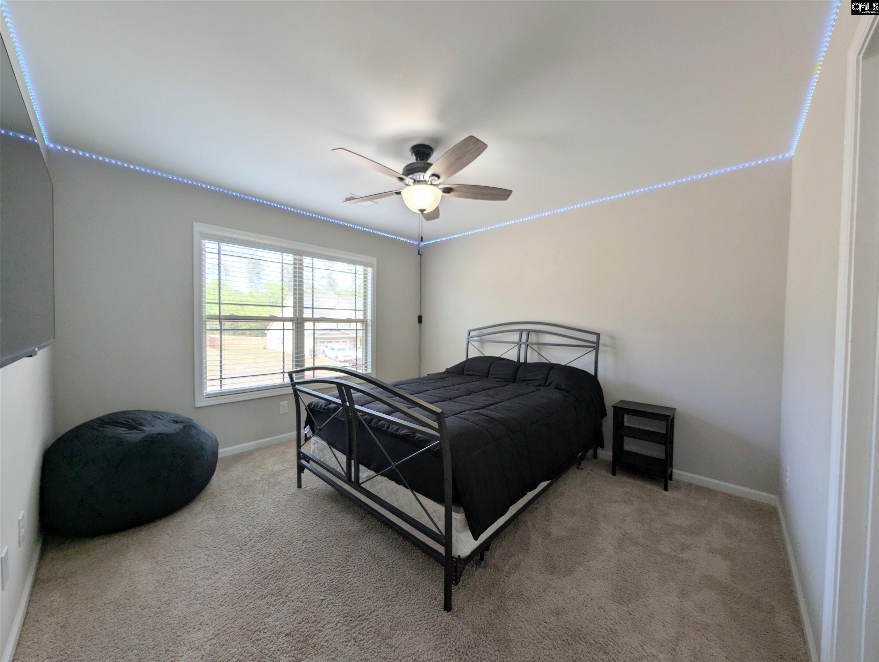 105 Tall Pines Road Chapin, SC 29036 - Photo 55 of 79