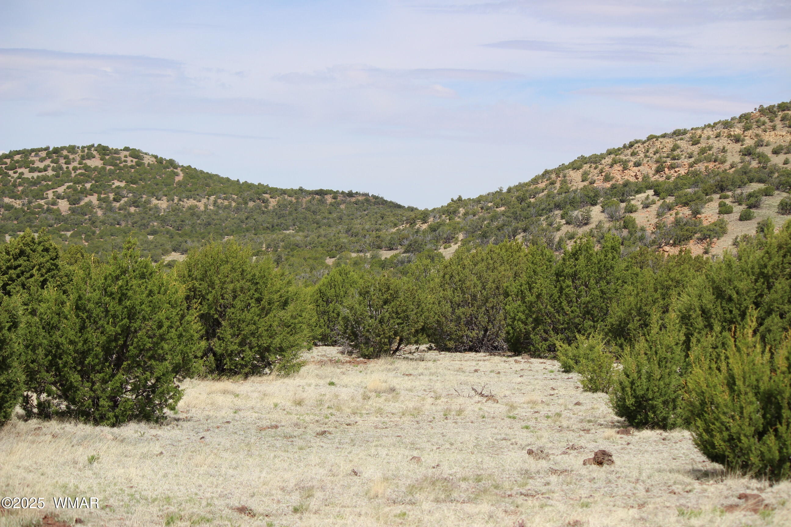 Tbd 3196 Vernon, AZ 85940 - Photo 6 of 21 a view of a dry yard