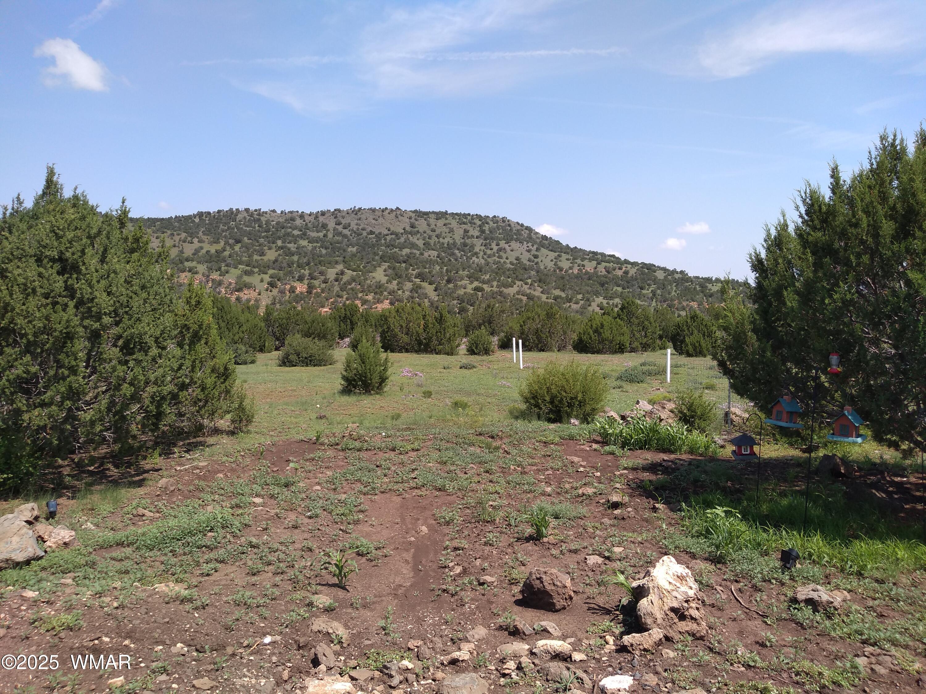 Tbd 3196 Vernon, AZ 85940 - Photo 9 of 21 a view of a field with mountains in the background