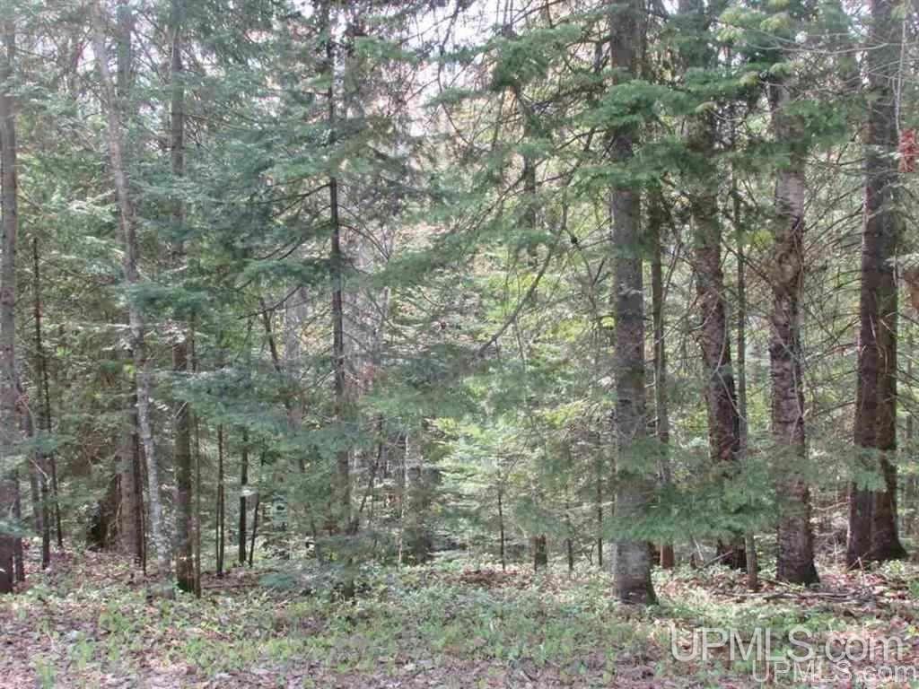 20563 Point Abbaye Road Lanse, MI 49946 - Photo 33 of 33