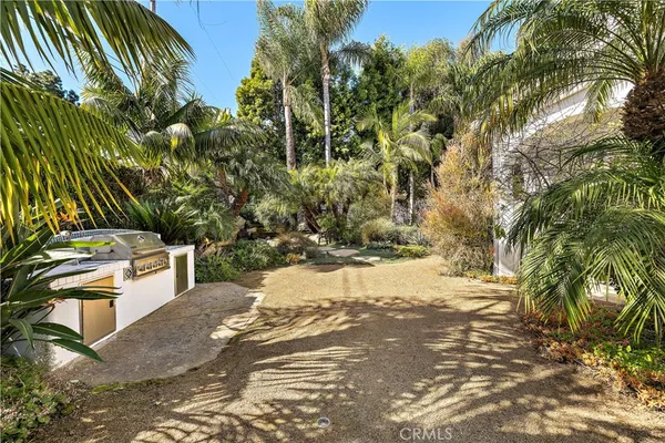 a view of a yard with plants and trees