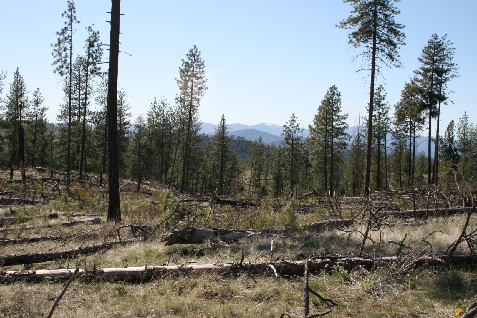 0 Coyote Canyon Road Fruitland, WA 99129 - Photo 1 of 6
