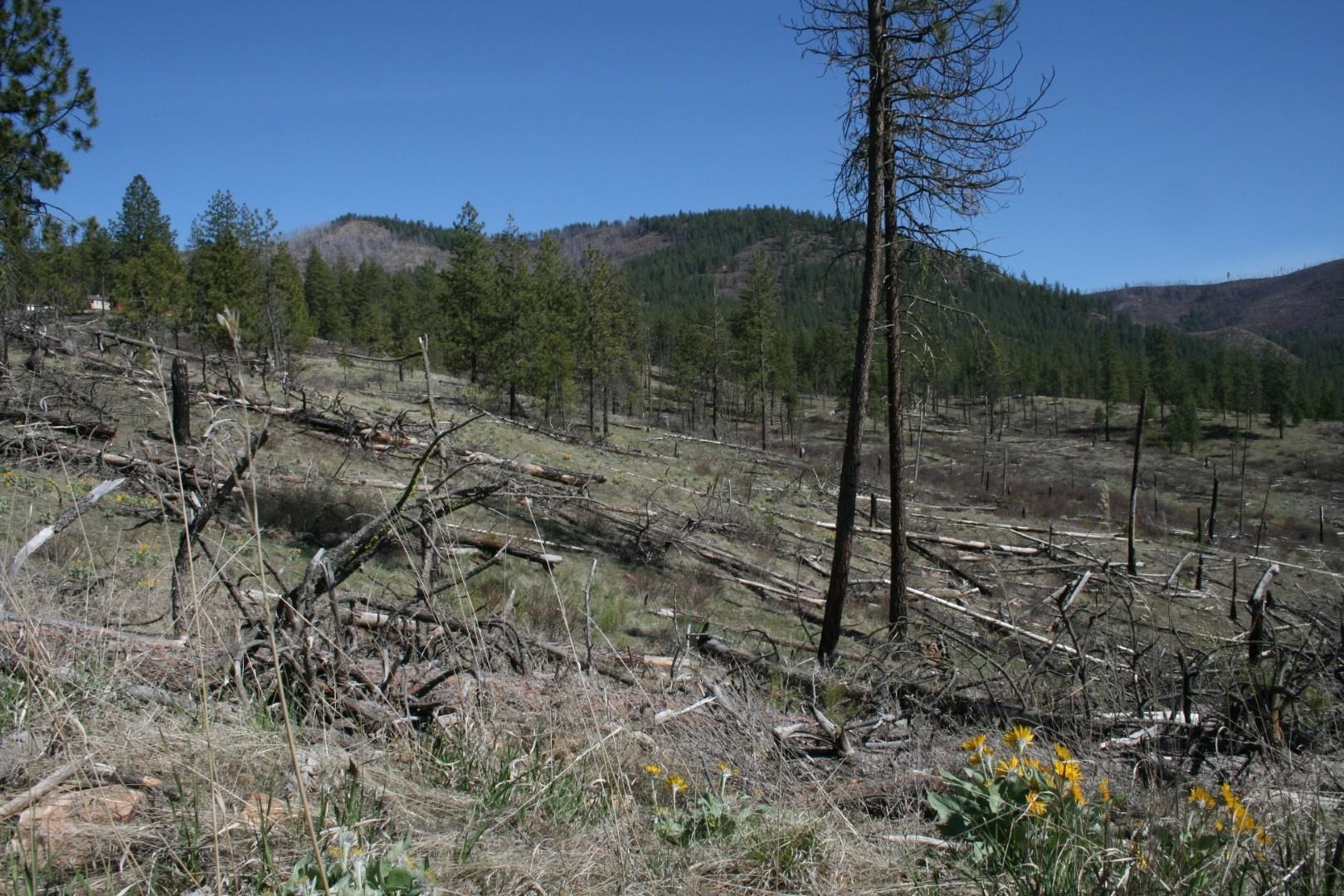 0 Coyote Canyon Road Fruitland, WA 99129 - Photo 2 of 6