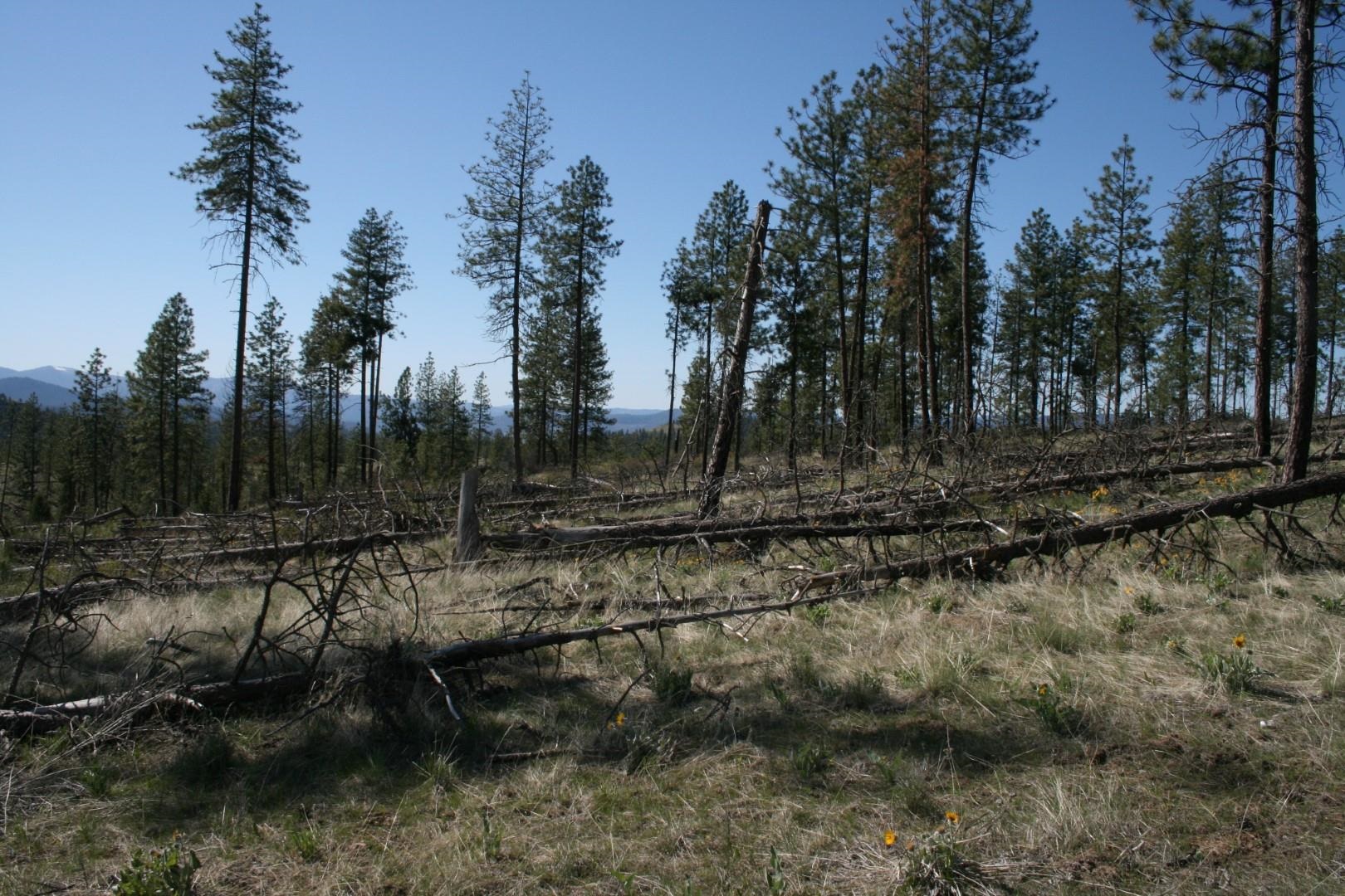 0 Coyote Canyon Road Fruitland, WA 99129 - Photo 4 of 6